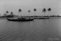 les backwaters du Kérala